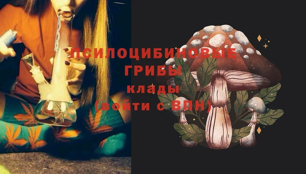 МДМА Алексеевка