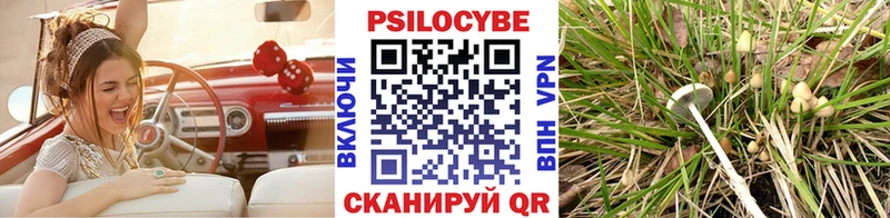 Галлюциногенные грибы Cubensis  Александровское 